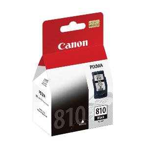 Ink Cartridge PG-810 Black