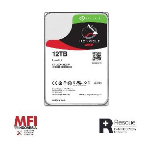 Seagate Harddisk Internal Ironwolf 3,5 Inch 12Tb