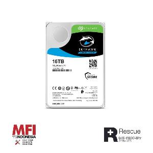 Seagate Harddisk Internal Skyhawk AI 3,5inch 16Tb
