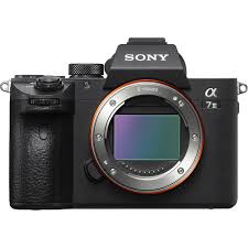 A7 III (Bodi Saja)