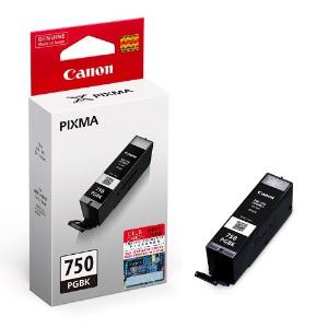 Ink Cartridge PGI-750 Black